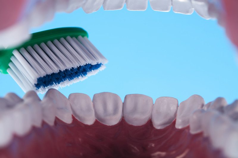 Toothbrush and teeth.